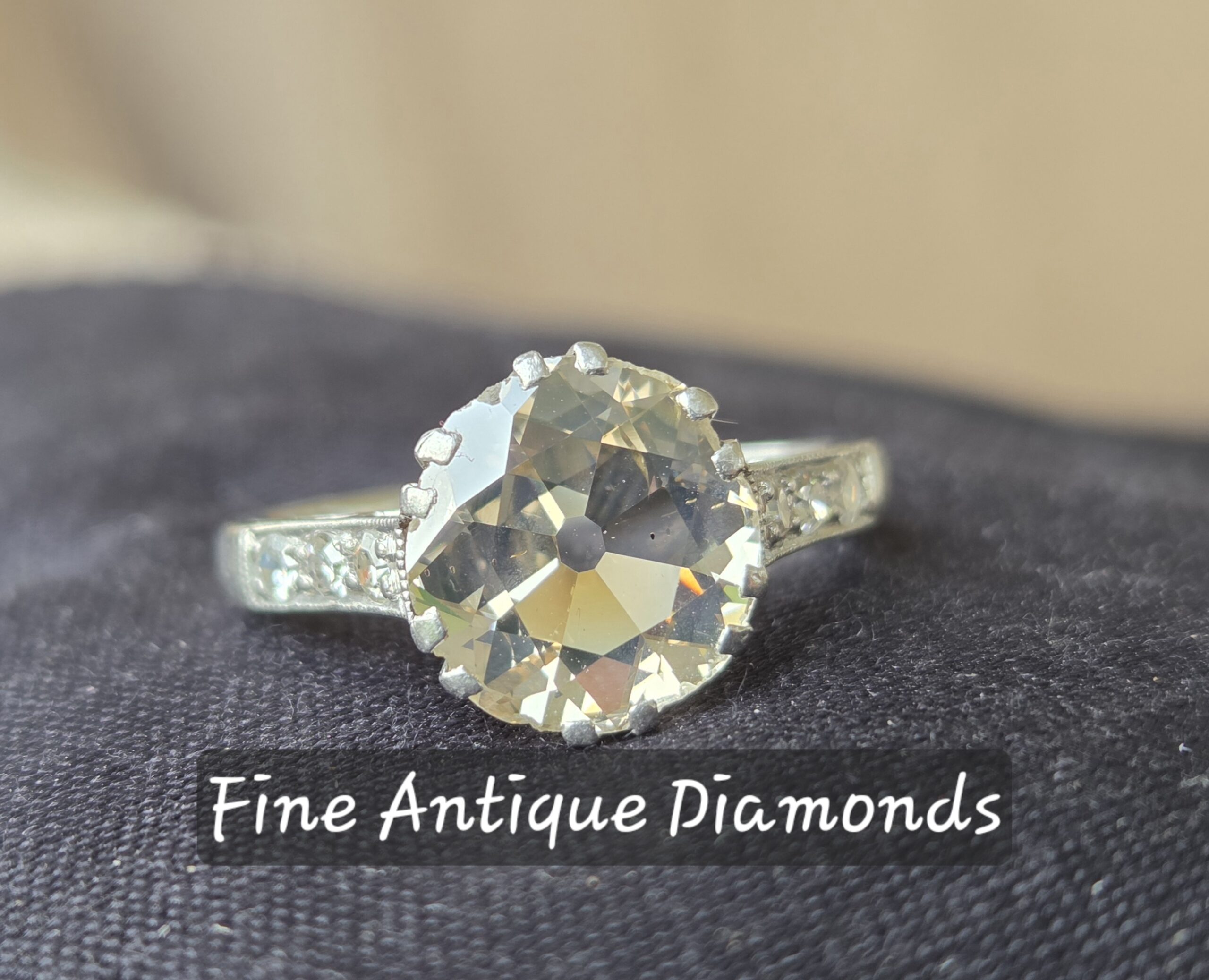 Sold Before Advertising. Loved it! 💎 - Image 3