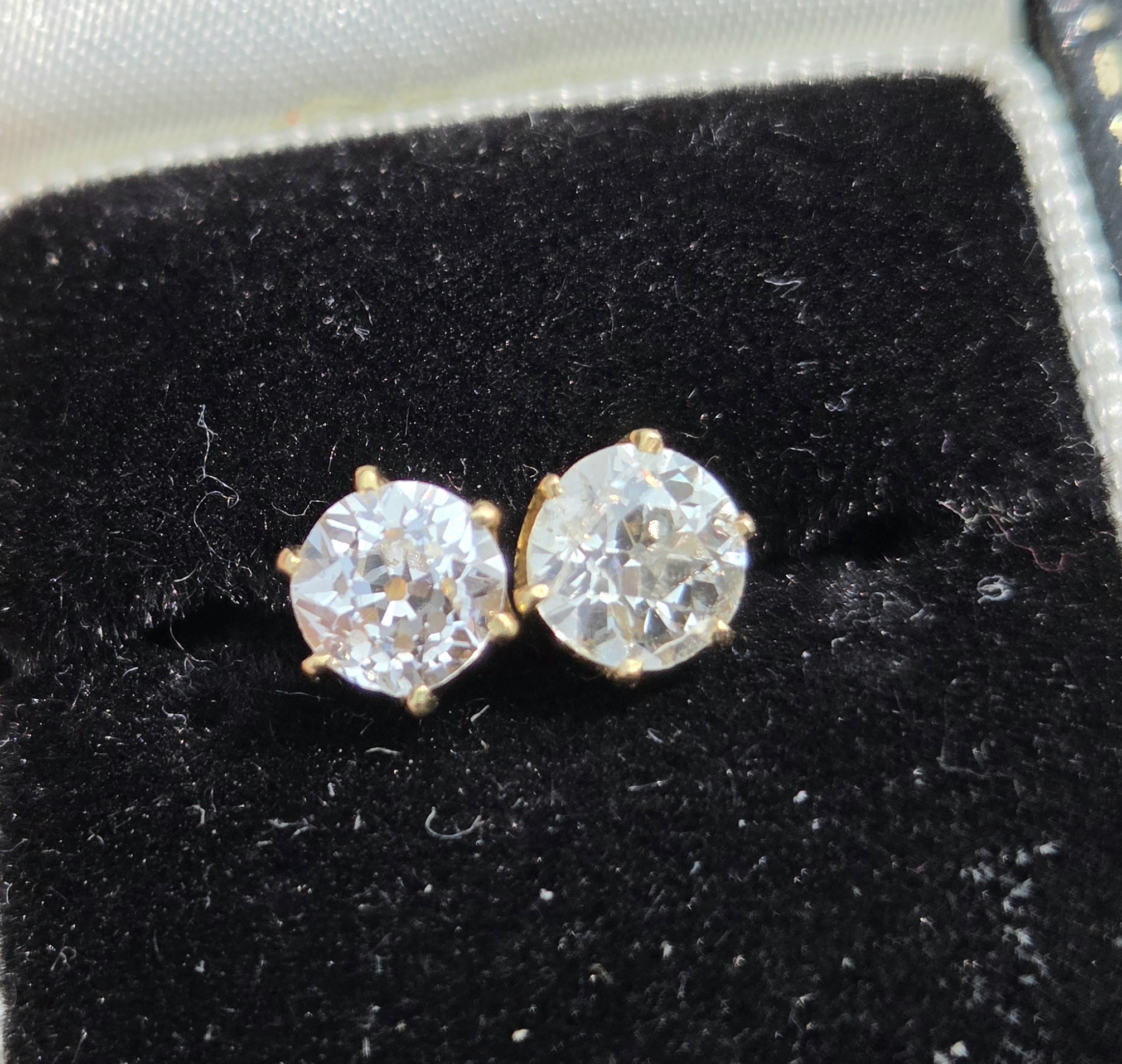 The perfect pair!