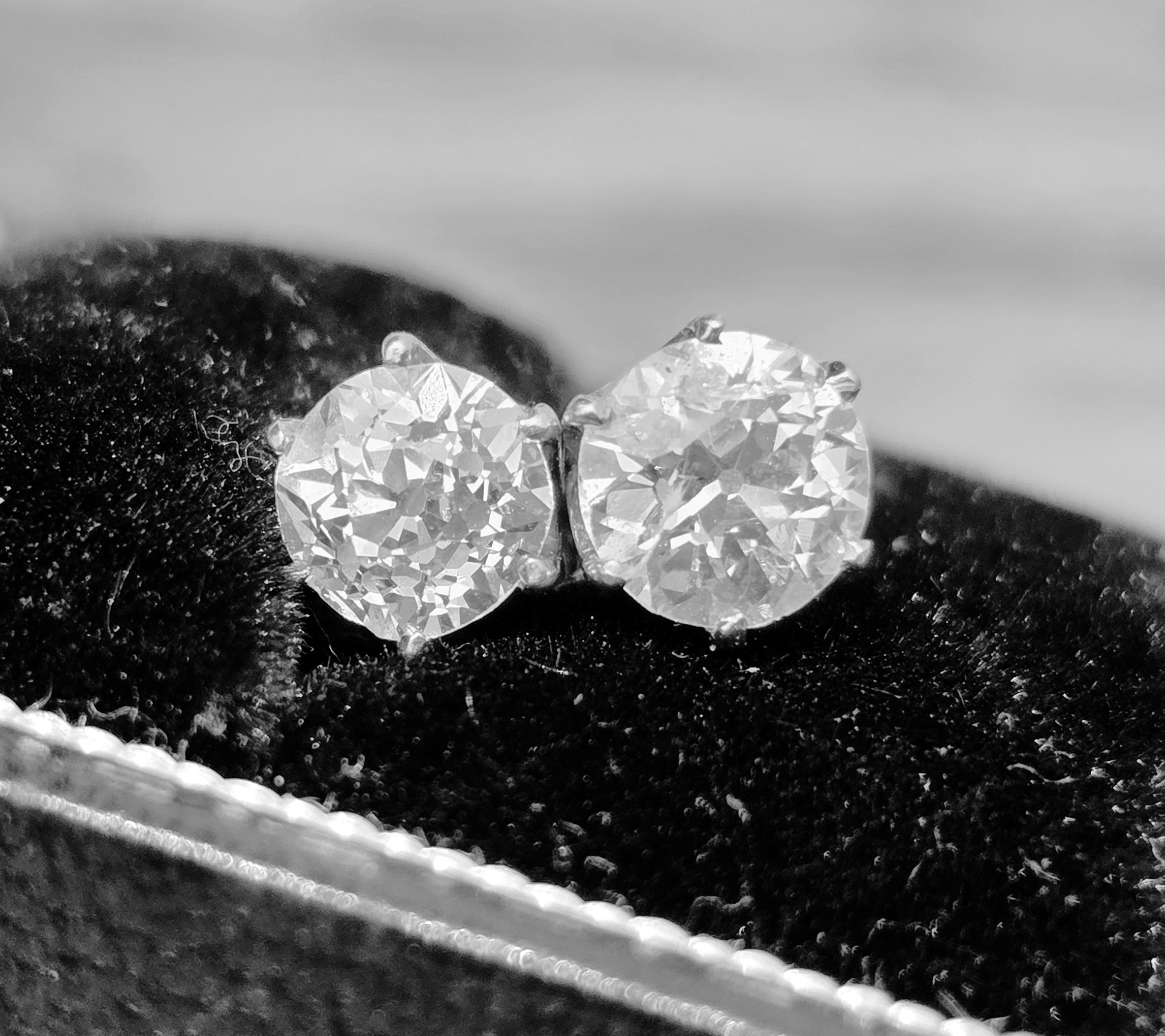 The perfect pair! - Image 4