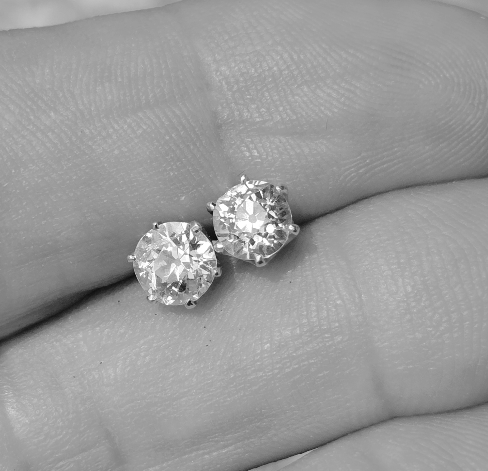 The perfect pair! - Image 3