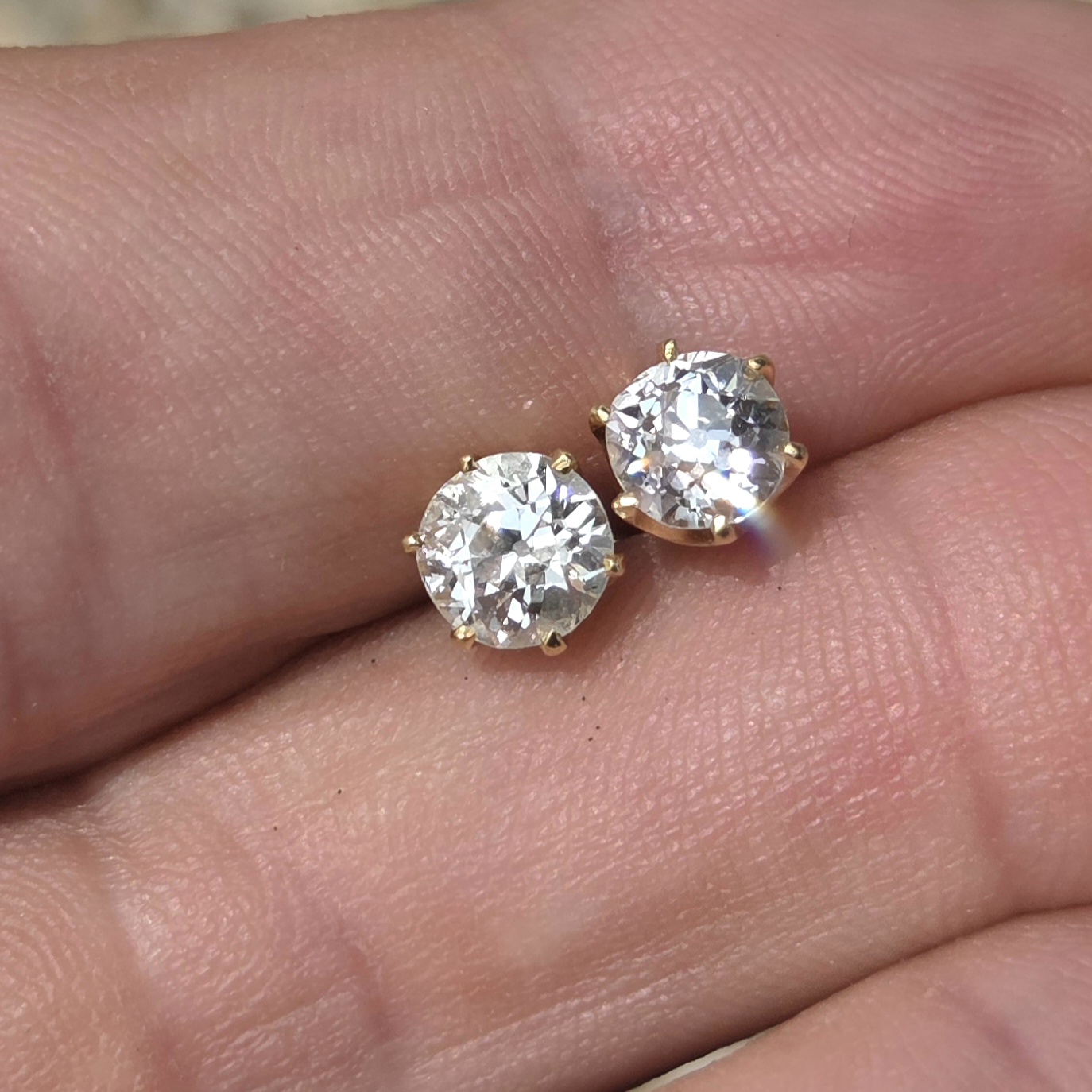 The perfect pair! - Image 6