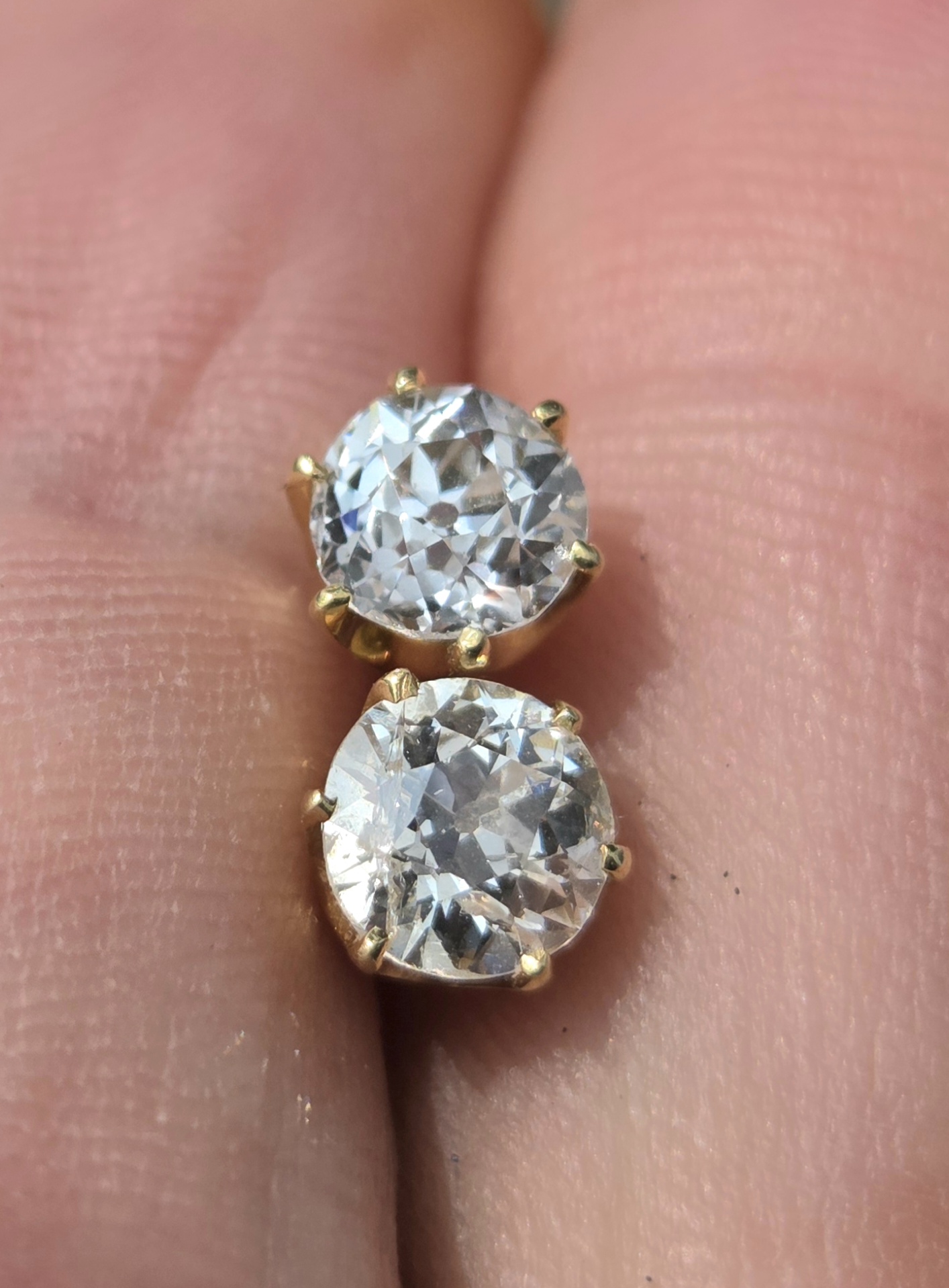 The perfect pair! - Image 7